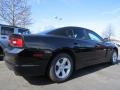 Pitch Black - Charger SE Photo No. 3