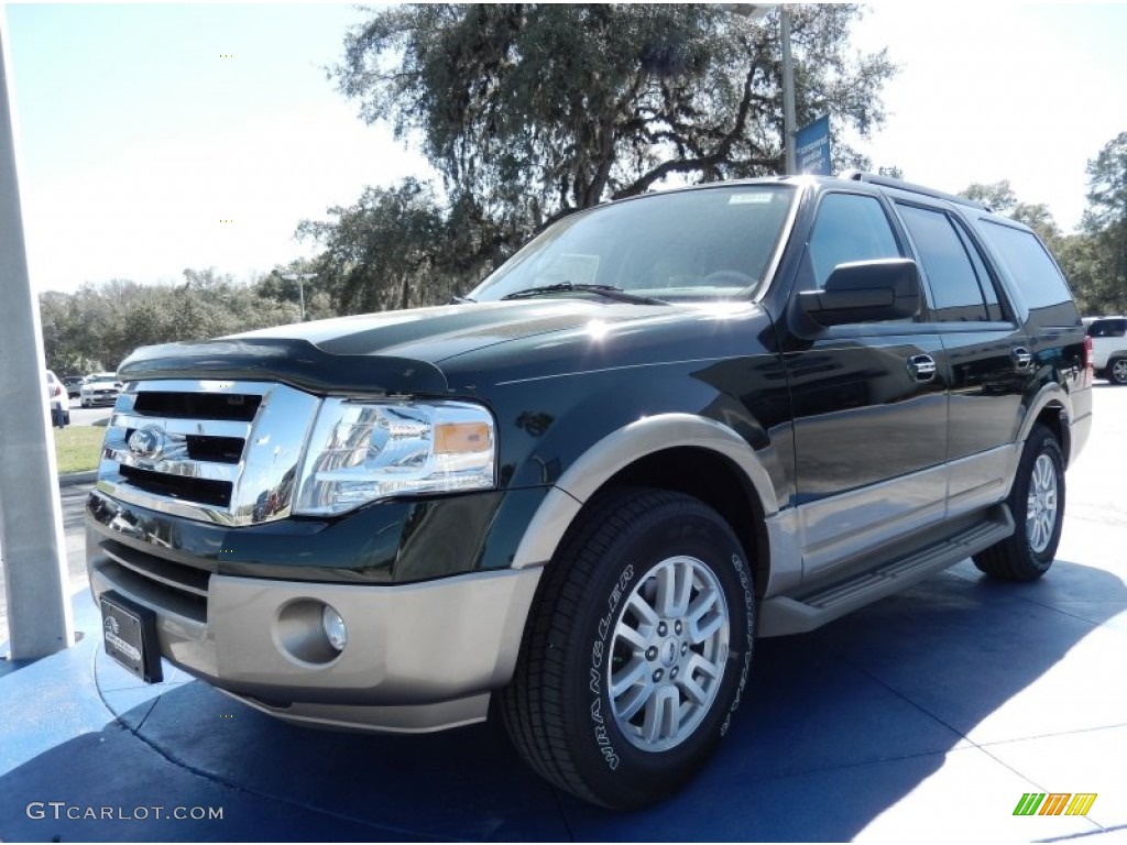 2014 Expedition XLT - Green Gem / Camel photo #1