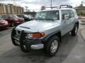 Titanium Metallic - FJ Cruiser 4WD Photo No. 3
