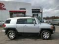 Titanium Metallic - FJ Cruiser 4WD Photo No. 8