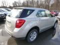 Champagne Silver Metallic - Equinox LS AWD Photo No. 5