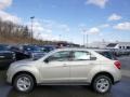 Champagne Silver Metallic - Equinox LS AWD Photo No. 8