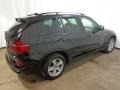 2011 Black Sapphire Metallic BMW X5 xDrive 35d  photo #11