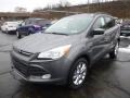 Sterling Gray 2014 Ford Escape Gallery