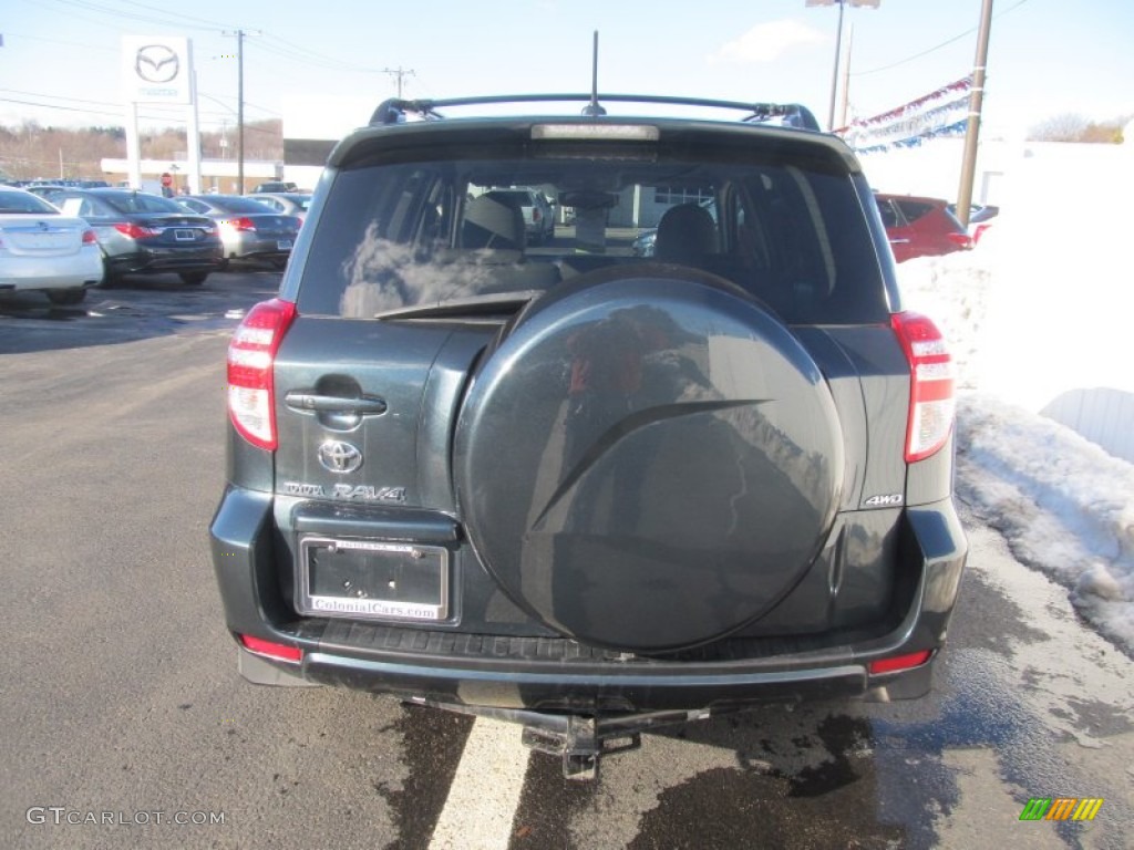2010 RAV4 Limited 4WD - Black Forest Pearl / Ash Gray photo #5