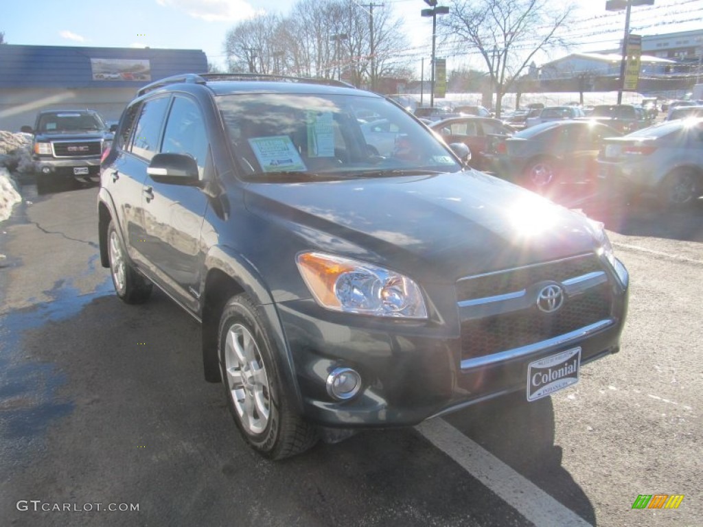 2010 RAV4 Limited 4WD - Black Forest Pearl / Ash Gray photo #8
