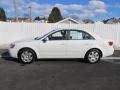 Powder White Pearl - Sonata GLS Photo No. 2