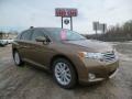 Golden Umber Mica 2009 Toyota Venza AWD