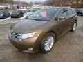 Golden Umber Mica 2009 Toyota Venza AWD Exterior