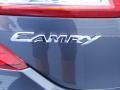 2014 Magnetic Gray Metallic Toyota Camry SE  photo #14