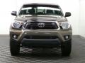 Pyrite Mica - Tacoma V6 SR5 Double Cab 4x4 Photo No. 2