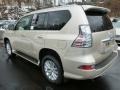 Satin Cashmere Metallic - GX 460 Photo No. 2