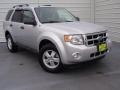 Ingot Silver Metallic - Escape XLT Photo No. 1