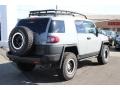 Trail Teams Cement Gray - FJ Cruiser Trail Teams Special Edition 4WD Photo No. 4