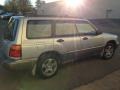 Silverthorn Metallic - Forester S Photo No. 2