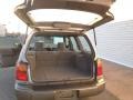 Silverthorn Metallic - Forester S Photo No. 10