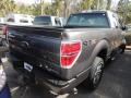 Sterling Gray Metallic - F150 STX SuperCab Photo No. 11