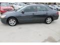 Graphite Pearl - Accord SE Sedan Photo No. 5