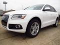 Ibis White - Q5 2.0 TFSI quattro Photo No. 5