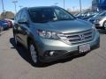 2012 Opal Sage Metallic Honda CR-V EX-L  photo #7