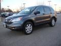Polished Metal Metallic - CR-V SE 4WD Photo No. 2
