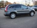 Polished Metal Metallic - CR-V SE 4WD Photo No. 5
