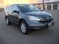 Polished Metal Metallic - CR-V SE 4WD Photo No. 7