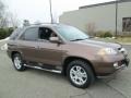 2004 Burnished Bronze Metallic Acura MDX   photo #10