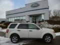 White Suede 2012 Ford Escape XLT 4WD