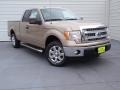 Pale Adobe 2014 Ford F150 XLT SuperCab