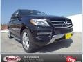 Black - ML 350 Photo No. 1