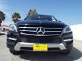 Black - ML 350 Photo No. 2