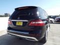 Black - ML 350 Photo No. 4