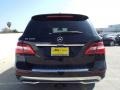 Black - ML 350 Photo No. 5