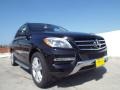 Black - ML 350 Photo No. 11