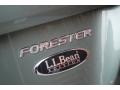 Evergreen Metallic - Forester 2.5 X L.L.Bean Edition Photo No. 86