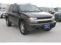 Graystone Metallic 2007 Chevrolet TrailBlazer LS