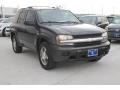 2007 Graystone Metallic Chevrolet TrailBlazer LS  photo #1