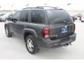 Graystone Metallic - TrailBlazer LS Photo No. 7