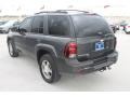 2007 Graystone Metallic Chevrolet TrailBlazer LS  photo #7