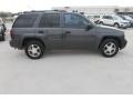 2007 Graystone Metallic Chevrolet TrailBlazer LS  photo #10