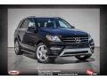 Black - ML 350 4Matic Photo No. 1