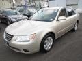 Camel Pearl - Sonata GLS Photo No. 3