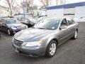 Willow Gray - Sonata GLS Photo No. 3