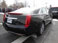 Black Raven - XTS Luxury FWD Photo No. 5
