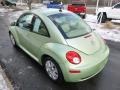 2008 Gecko Green Volkswagen New Beetle S Coupe  photo #6
