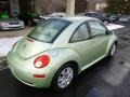 2008 Gecko Green Volkswagen New Beetle S Coupe  photo #8