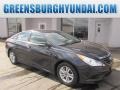 2014 Pacific Blue Pearl Hyundai Sonata GLS  photo #1