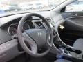 Iridescent Silver Blue Pearl - Sonata GLS Photo No. 7