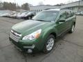 2014 Cypress Green Pearl Subaru Outback 2.5i Premium  photo #3